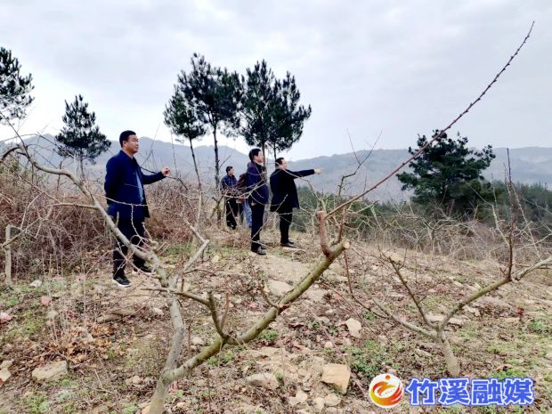 产业发展谋划在前