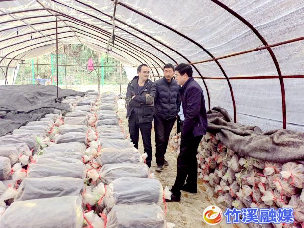 产业发展稳步推进