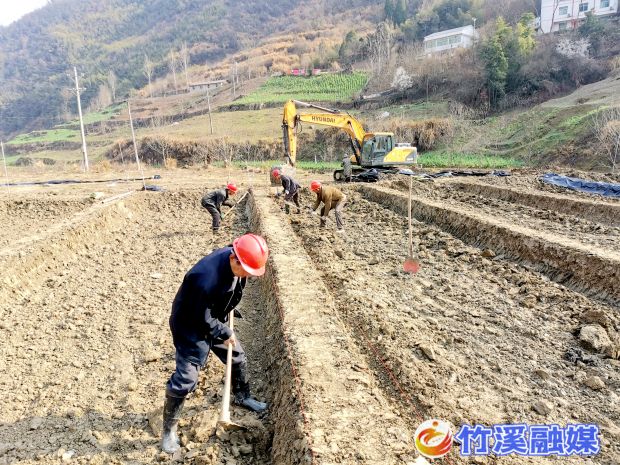 项目建设如火如荼
