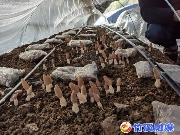 微信图片_20230328090839