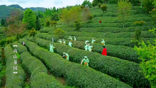 微信图片_20230329085932