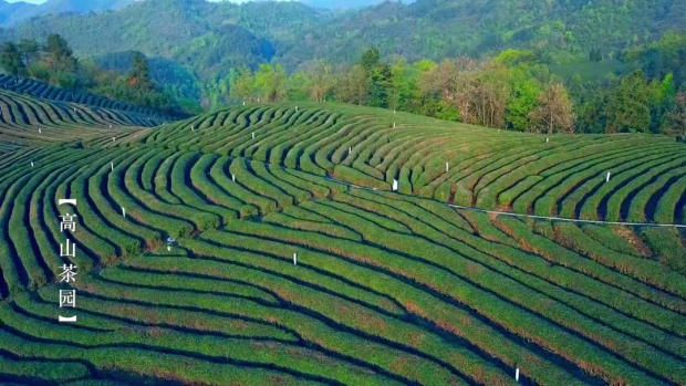 微信图片_20230329085936