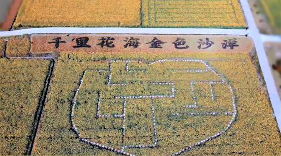 微信图片_20230329115149