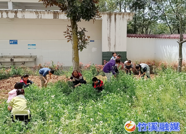 图片5