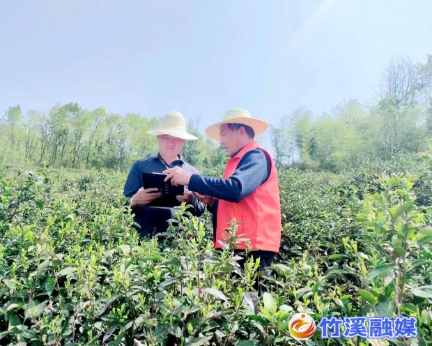 QQ图片20230417145612_proc