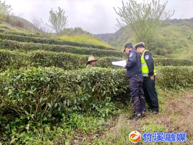QQ图片20230417145623_proc
