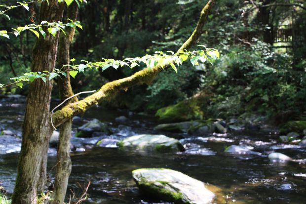 万江河美景