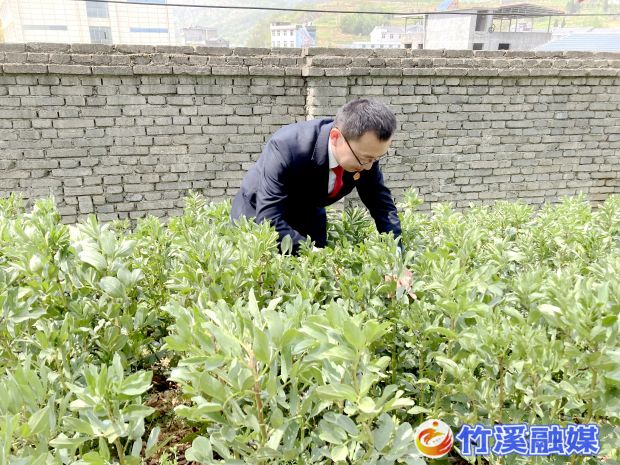 4月19日上午，竹溪县人民法院组织志愿者到中峰镇开展禁毒宣传活动4 (4)_proc