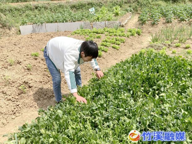4月19日上午，竹溪县人民法院组织志愿者到中峰镇开展禁毒宣传活动4 (3)_proc