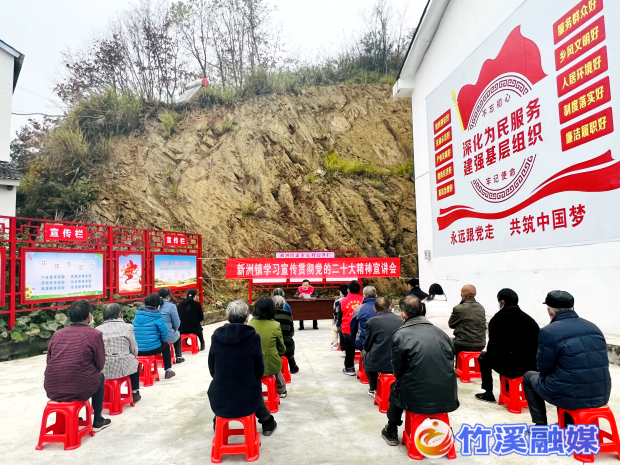 新洲镇二十大宣讲