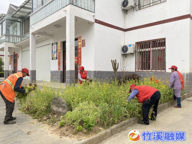 QQ图片20230414154717