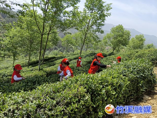 微信图片_20230504152011