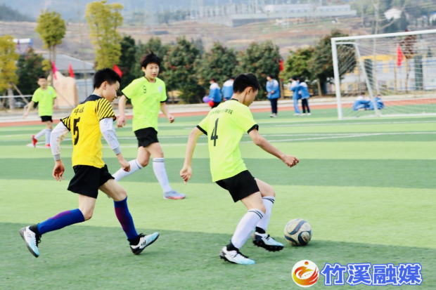 图片4