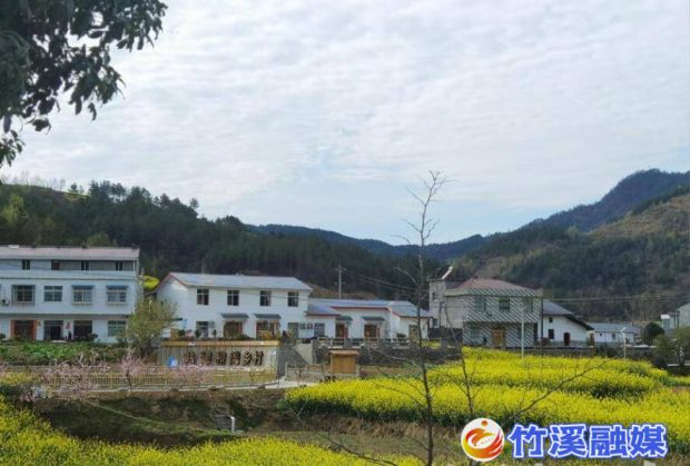 QQ截图20230524155620