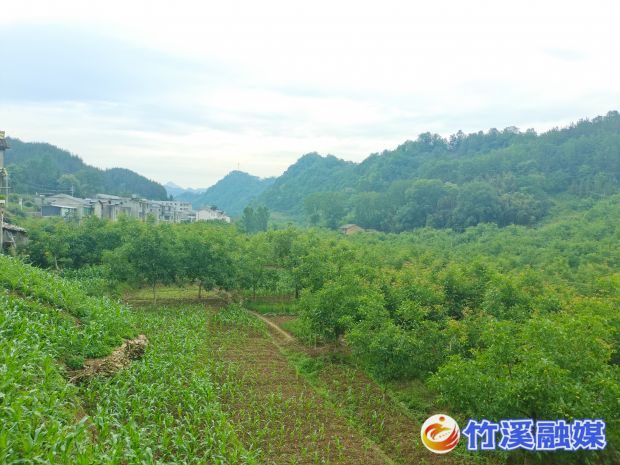 微信图片_20230607151708