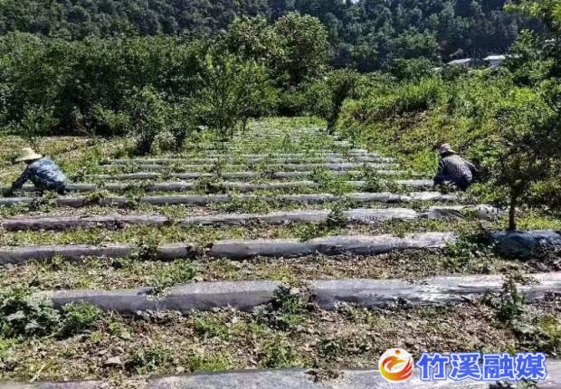 微信图片_20230614162633_proc