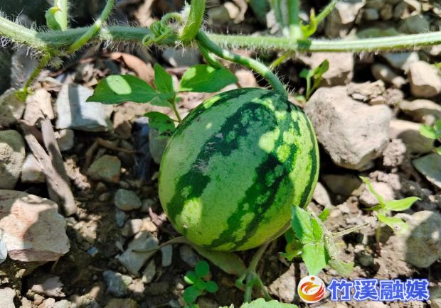 微信图片_20230614162651_proc