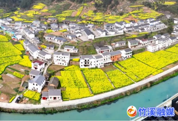 微信图片_20230617142700