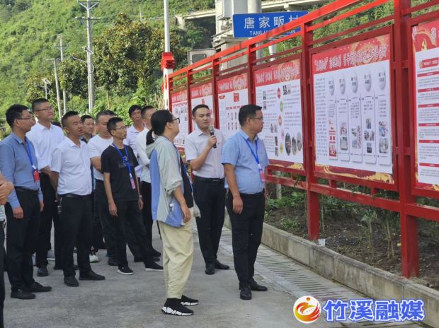 图片1_proc