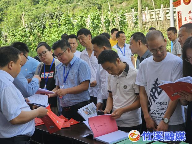 图片2_proc