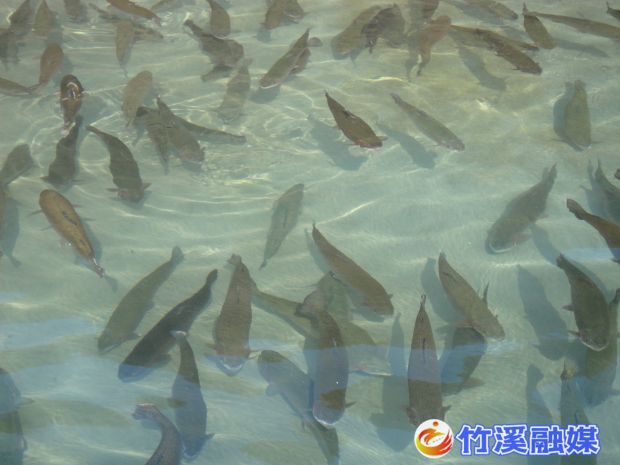 微信图片_20230608171436