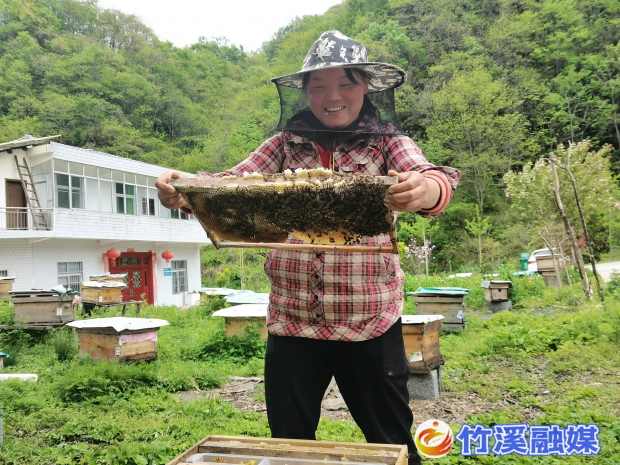 图片2