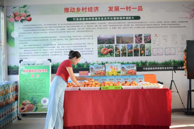 微信图片_20230705103517