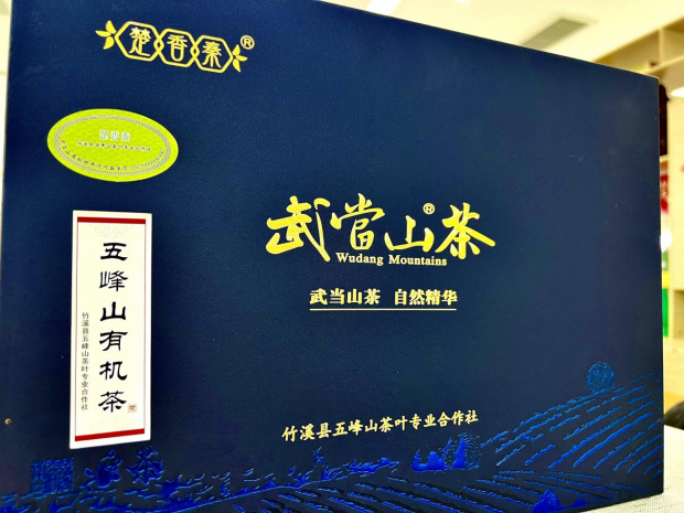 图片6