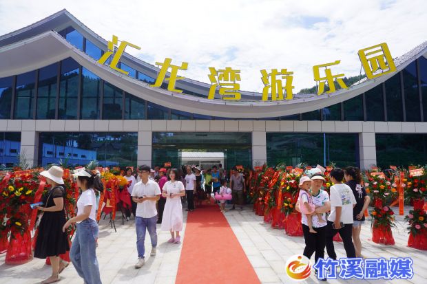DSC04145_proc