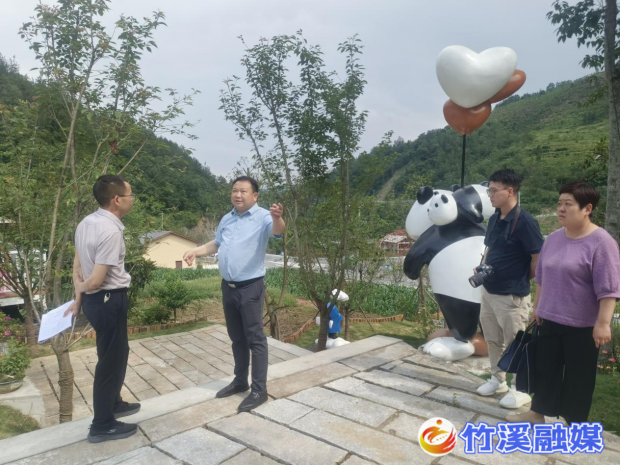 图片2