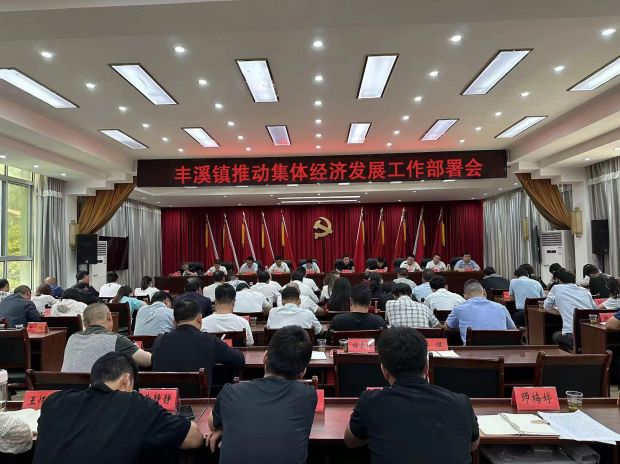 丰溪镇：共同舞动产业好龙头 缔造集体经济促振兴_proc