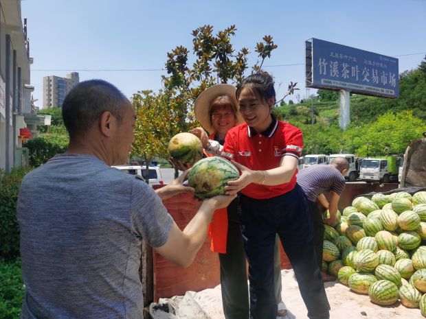微信图片_20230808151014_1