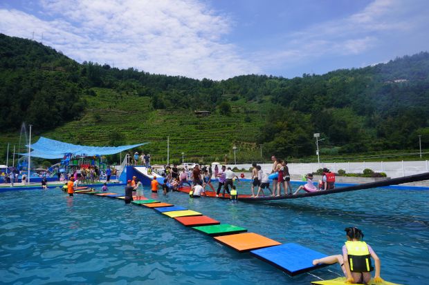 DSC04165_proc