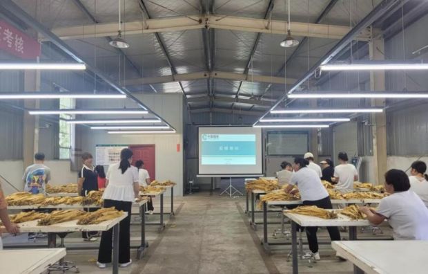 QQ截图20230823160326