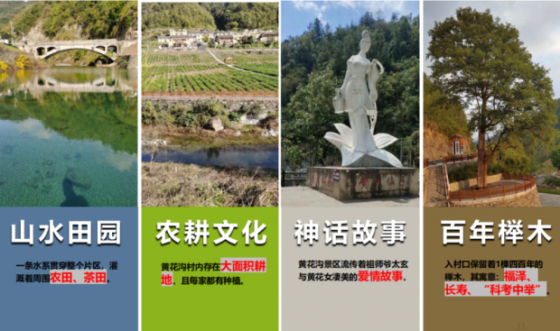 图片12