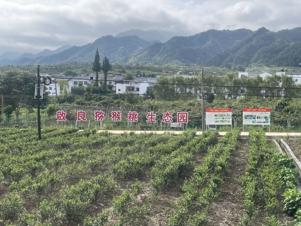 微信图片_20230908154006