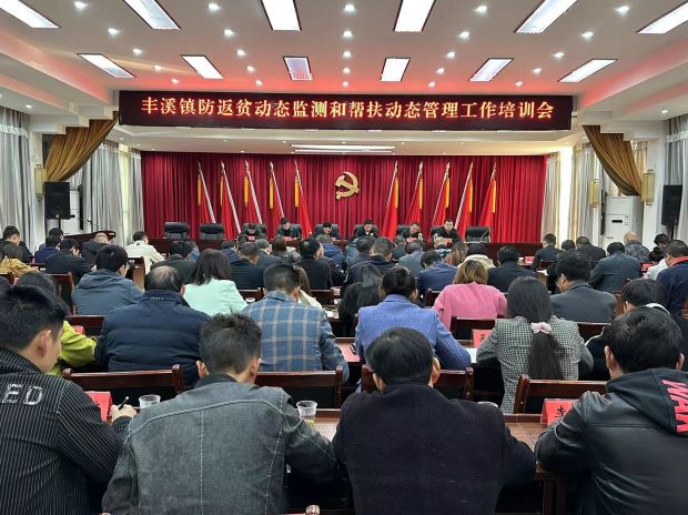丰溪镇2023年度防返贫动态监测和帮扶动态管理工作培训会_proc